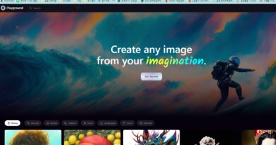 플레이그라운드